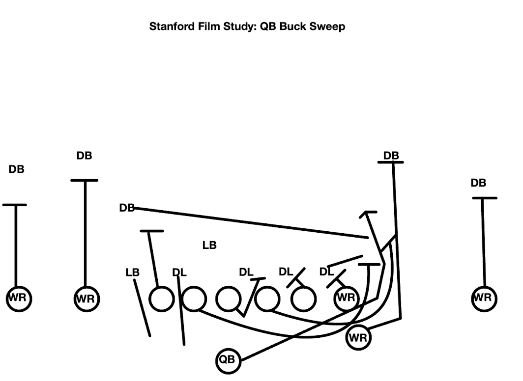 Stanford Film Study: Buck Sweep