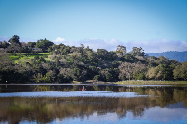 A view across Lake Lagunita showing the hillside behind the lake and a student-constructed raft of wooden pallets floating in the center of the lake. A Soto dining hall banner lays flat on the raft.