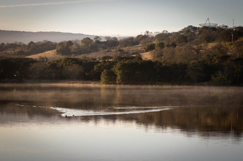 The newly-replenished lake has brought a larger variety of wildlife to campus, including ducks that always swim in the lake. (Photo: ANANYA NAVALE/The Stanford Daily)