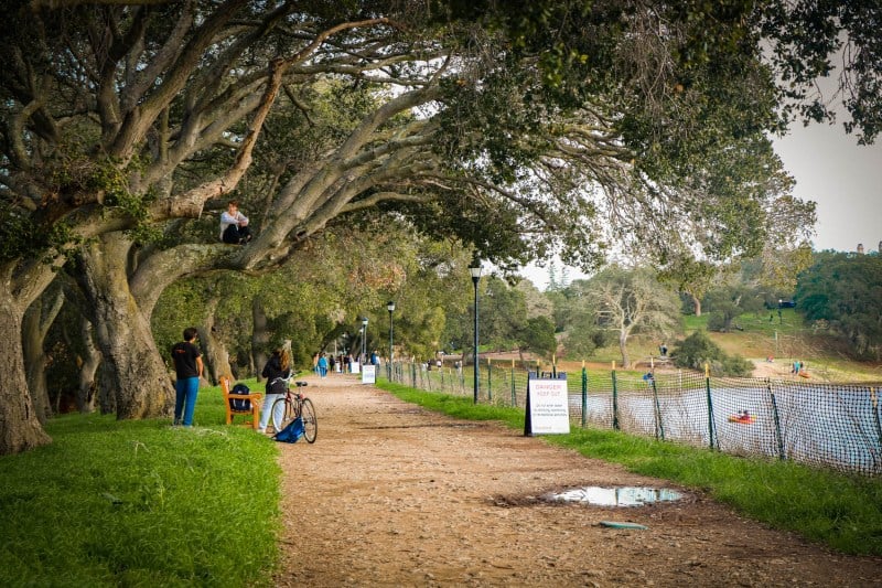 The lake trail with ‘Danger’ signs and a bench.