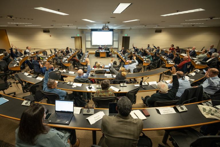 The faculty senate