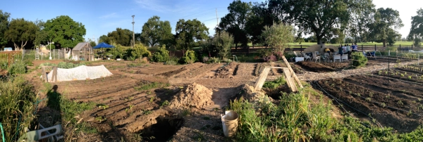 The Stanford farm on a sunny late-afternoon. The land is mostly dirt, with plots of vegetation.