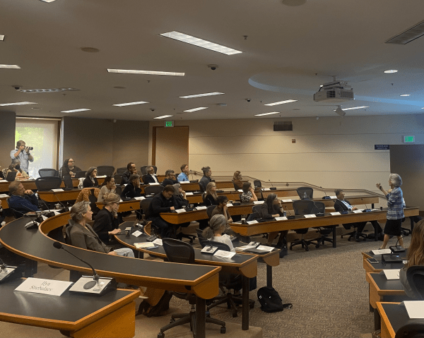 Persis Drell stands before the Faculty Senate as senate members listen to her presentation.