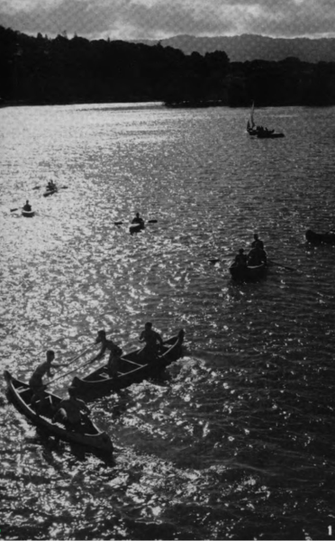 top view picture of Lake Lagunita with students on boats.