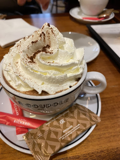 A cup of hot chocolate. A thick froth of whipped cream sits on top.