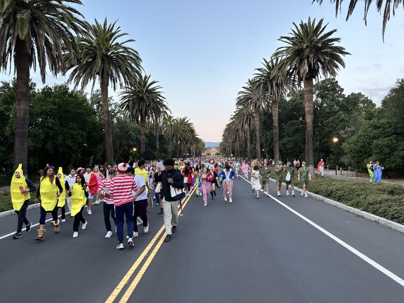 Students in costumes walk down the center of palm drive in the early morning