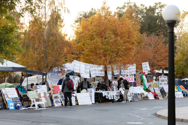 Students gather around tents and posters in White Plaza.