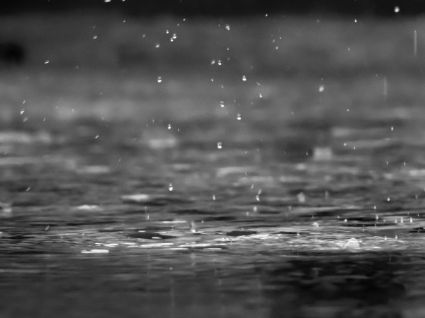 A grayscale image of rain falling.