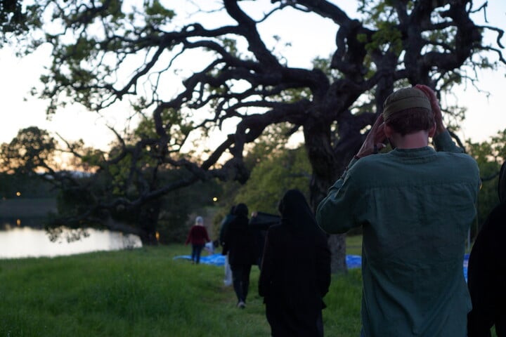 Students walk towards a tree with the lake in the distance.