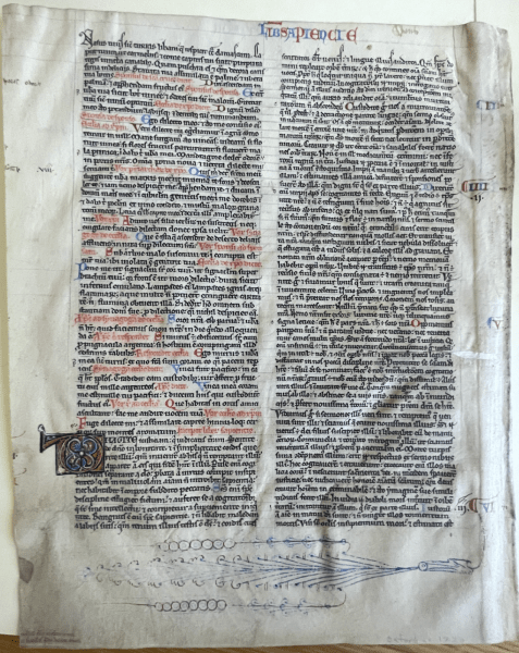 A manuscript from the Green Library Special Collection.