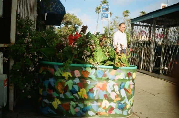 a vintage picture of a plant arrangement in a colorful painted pot, with a man standing in the background.