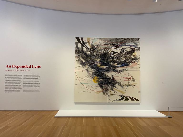 Photo of “Ariel” by Julie Mehretu at the Anderson Collection