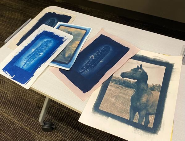 Wood displayed a selection of images produced using historical photographic methods, including cyanotype.