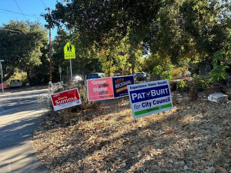 Four lawn signs advertise Palo Alto City Council candidates.