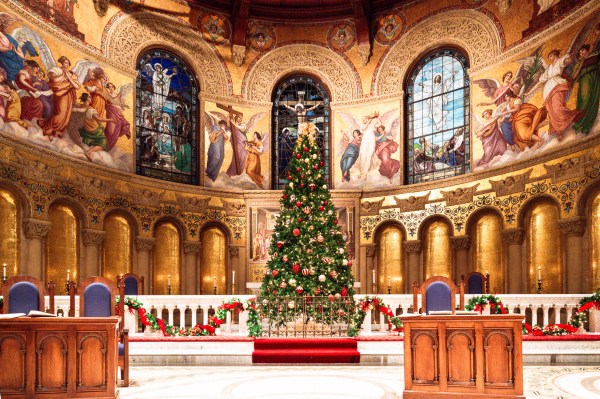 Christmas tree at Memorial Church