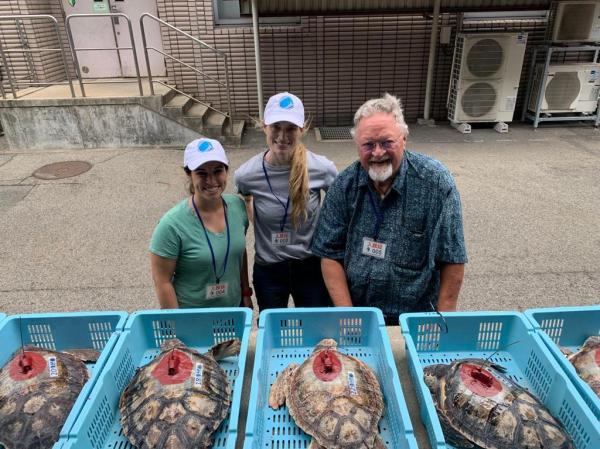 Professor Larry Crowder standing with 2 other scientists in front of 3 tagged loggerhead turtles.